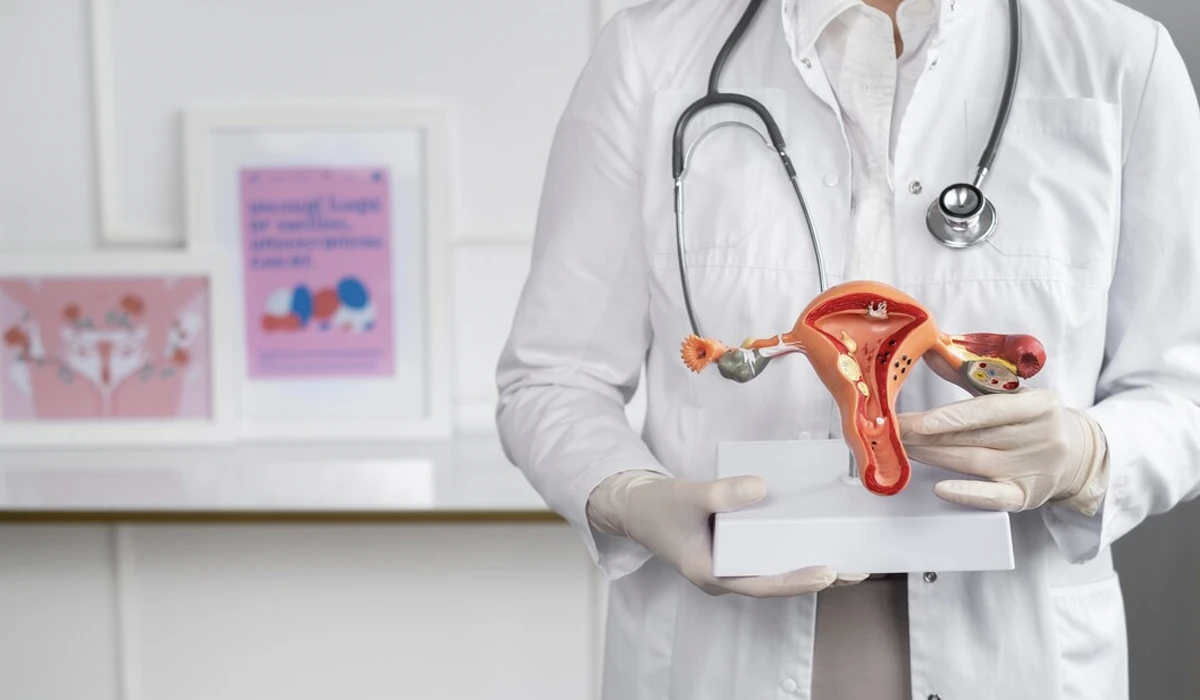Uma médica mostrando uma peça de modelo do órgão reprodutor feminino para demonstrar um exame ginecológico Papanicolau